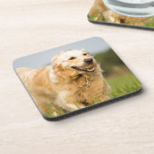 Dessous-de-verre Golden Retriever (Côté gauche)