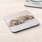 Dessous-de-verre Golden retriever (Côté gauche)