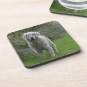 Dessous-de-verre Golden retriever courant 2 (Côté gauche)