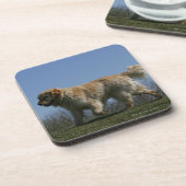 Dessous-de-verre Golden retriever courant 3 (Côté gauche)