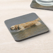 Dessous-de-verre Golden retriever dans l'eau (Côté gauche)