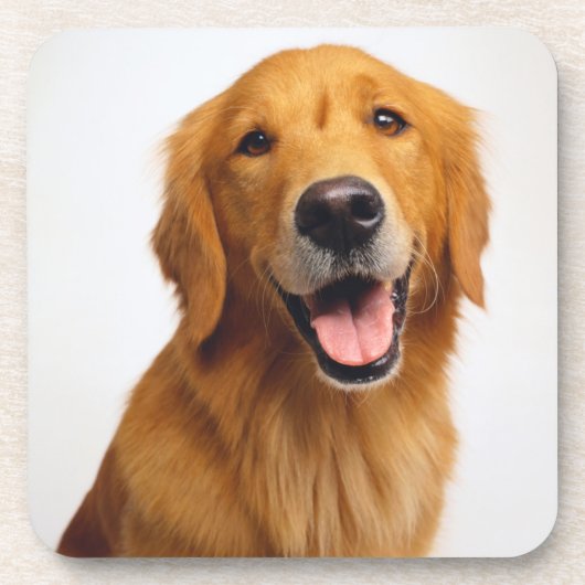 Dessous-de-verre Golden Retriever Smile (Devant)