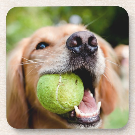Dessous-de-verre Golden Retriever With Tennis (Devant)
