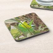 Dessous-de-verre Goldfinch (Côté gauche)