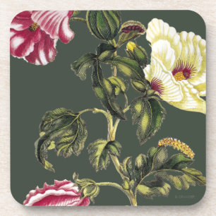 Dessous-de-verre Gombo