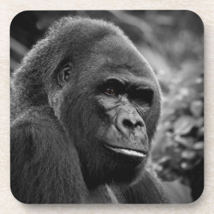 Dessous-de-verre Gorilla Gros Portrait Noir Et Blanc