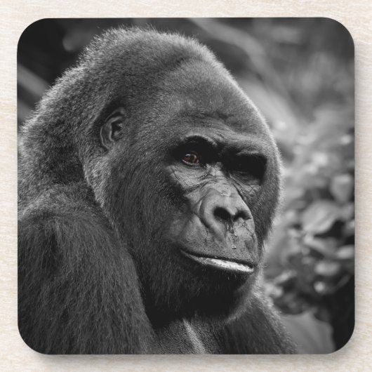 Dessous-de-verre Gorilla Gros Portrait Noir Et Blanc (Devant)