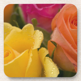 Dessous-de-verre Gouttes de pluie sur les roses jaune-orange et