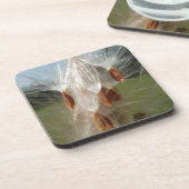 Dessous-de-verre Graines flottantes d'algue Art Imprimer/Graphique (Côté gauche)