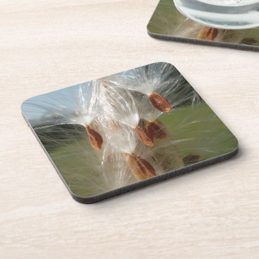 Dessous-de-verre Graines flottantes d'algue Art Imprimer/Graphique (Côté gauche)