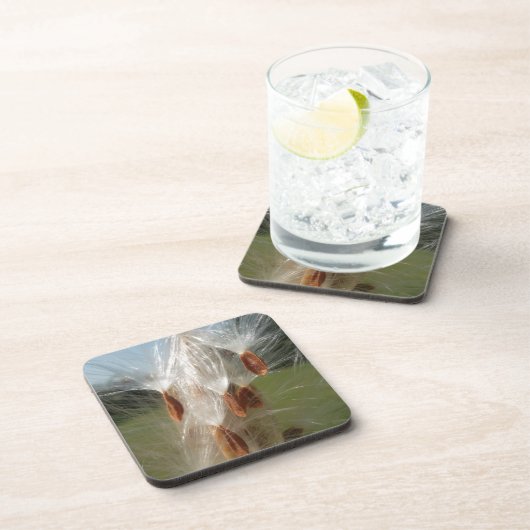 Dessous-de-verre Graines flottantes d'algue Art Imprimer/Graphique (Côté Droit)