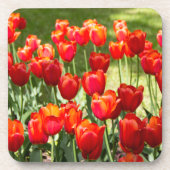 Dessous-de-verre Grand champ de tulipes rouges (Devant)