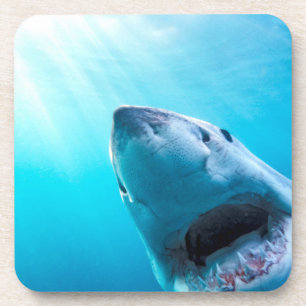 Dessous-de-verre Grand requin blanc Afrique du Sud