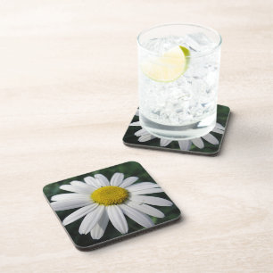 Dessous-de-verre Grande marguerite blanche