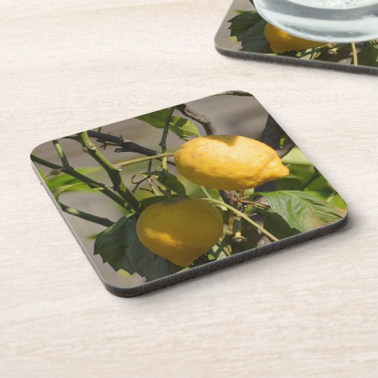 Dessous-de-verre Graphiques Citron Espagnol (Côté gauche)