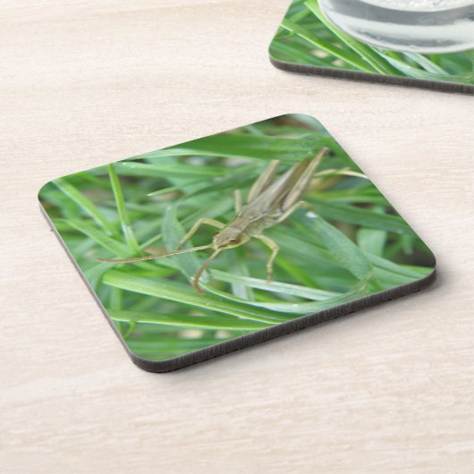 Dessous de verre Grasshopper Cork (Côté gauche)