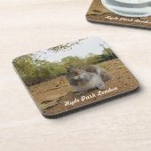 Dessous-de-verre Gray Squirrel Hyde Park Londres. (Côté gauche)