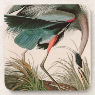 Dessous-de-verre Great Blue Heron Birds of America Audubon Imprimer