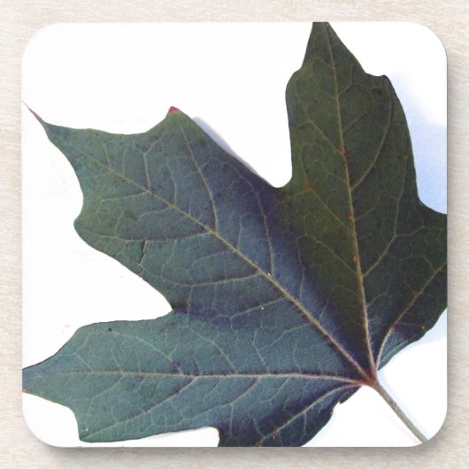 Dessous-de-verre Green leaf (Devant)