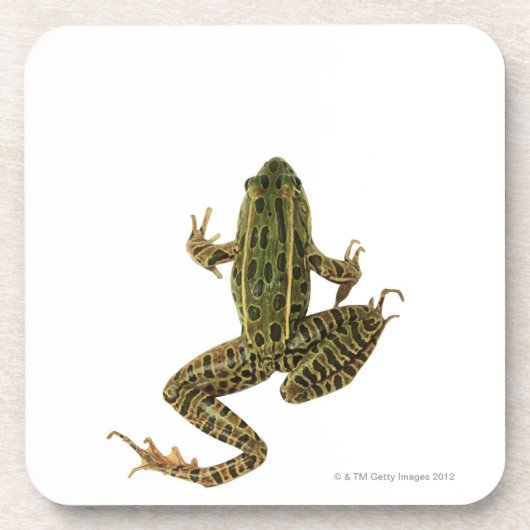 Dessous-de-verre Grenouille 2 (Devant)