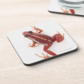 Dessous-de-verre grenouille Blanc-rayée de dard de poison (Côté gauche)