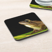 Dessous-de-verre Grenouille commune sur une feuille (Côté gauche)