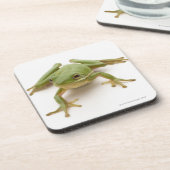 Dessous-de-verre Grenouille d'arbre verte (Côté gauche)