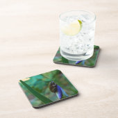 Dessous-de-verre Grenouille d'arbre verte sur l'iris (Côté Droit)