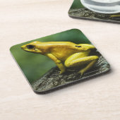 Dessous-de-verre Grenouille d'or de dard (Côté gauche)