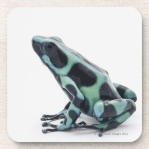 Dessous-de-verre Grenouille noire et verte de dard de poison