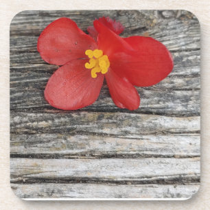 Dessous-de-verre Gris Avec Beverage Fleur Rouge Caster