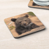 Dessous-de-verre Grizzly Bear Cub (Côté gauche)