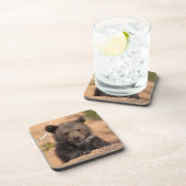 Dessous-de-verre Grizzly Bear Cub (Côté Droit)