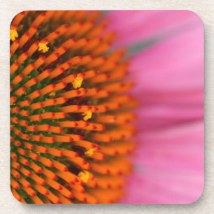 Dessous-de-verre Gros plan d'une fleur conique en été,