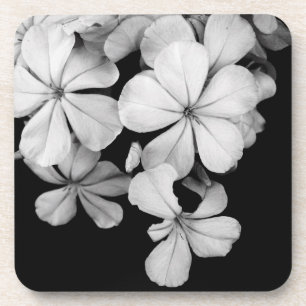 Dessous-de-verre Gros plan sur les fleurs noires et blanches