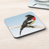 Dessous-de-verre Grosbeak à poitrine rose (Côté gauche)