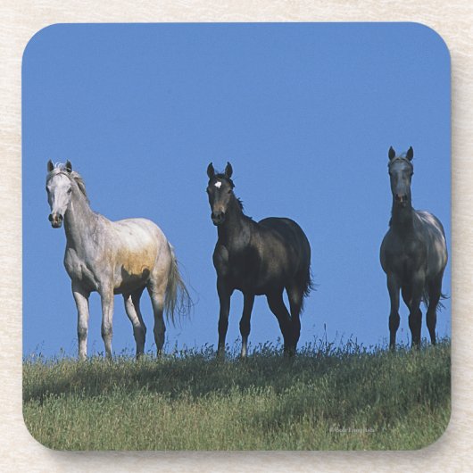 Dessous-de-verre Groupe d'Arabes (Devant)
