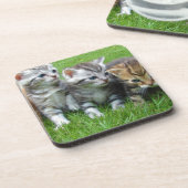 Dessous-de-verre Groupe de chatons adorables. (Côté gauche)