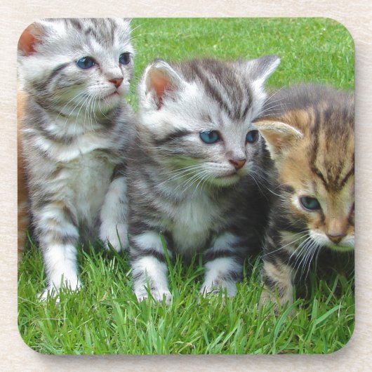 Dessous-de-verre Groupe de chatons adorables. (Devant)