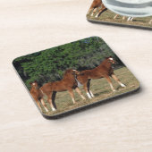 Dessous-de-verre Groupe de poulains de pur sang (Côté gauche)