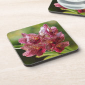 Dessous-de-verre Groupe tropical d'orchidées de Vanda (Côté gauche)