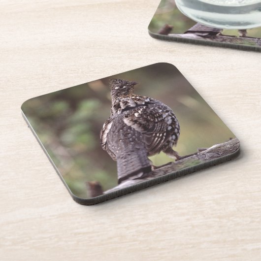 Dessous-de-verre grouse (Côté gauche)