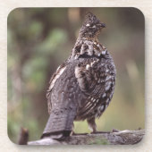 Dessous-de-verre grouse (Devant)