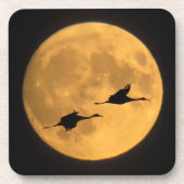 Dessous-de-verre Grues Sandhill | Réserve nationale de faune (Devant)