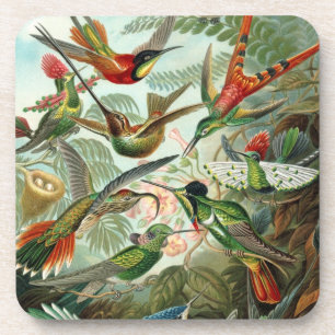 Dessous-de-verre Haeckel Birds