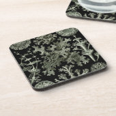 Dessous-de-verre Haeckel Black (Côté gauche)