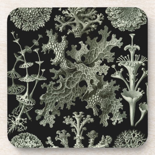 Dessous-de-verre Haeckel Black (Devant)
