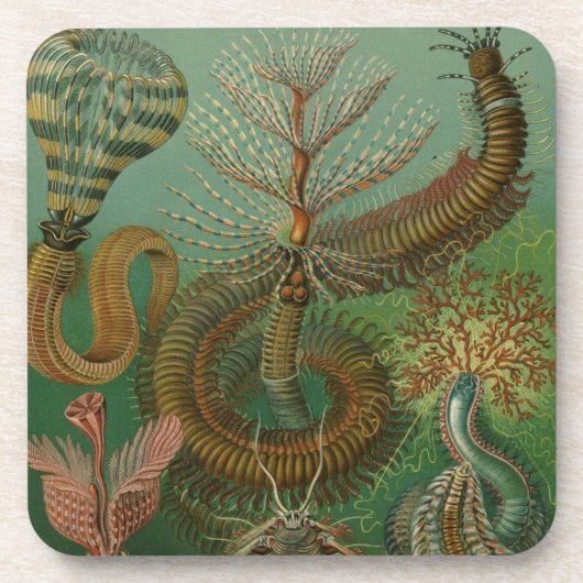 Dessous-de-verre Haeckel Centipedes (Devant)