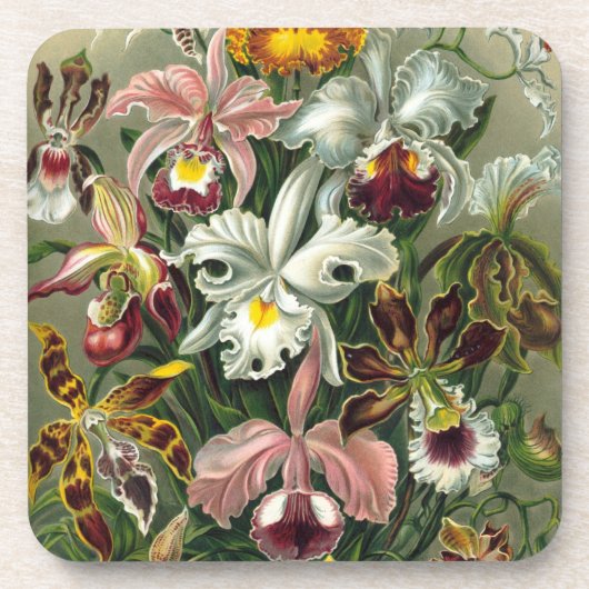 Dessous-de-verre Haeckel Orchids (Devant)