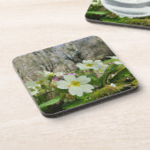 Dessous-de-verre Harbinger du printemps (Côté gauche)